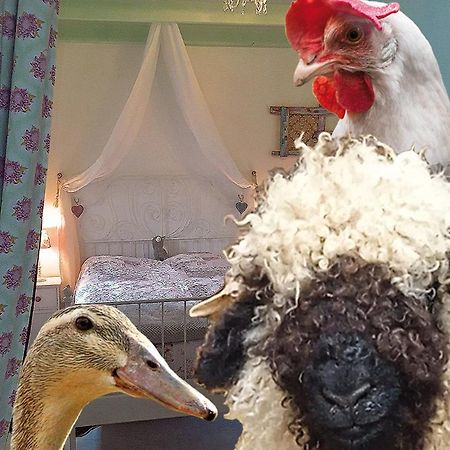 Ferienhaus Mit Minibauernhof Munster Zewnętrze zdjęcie