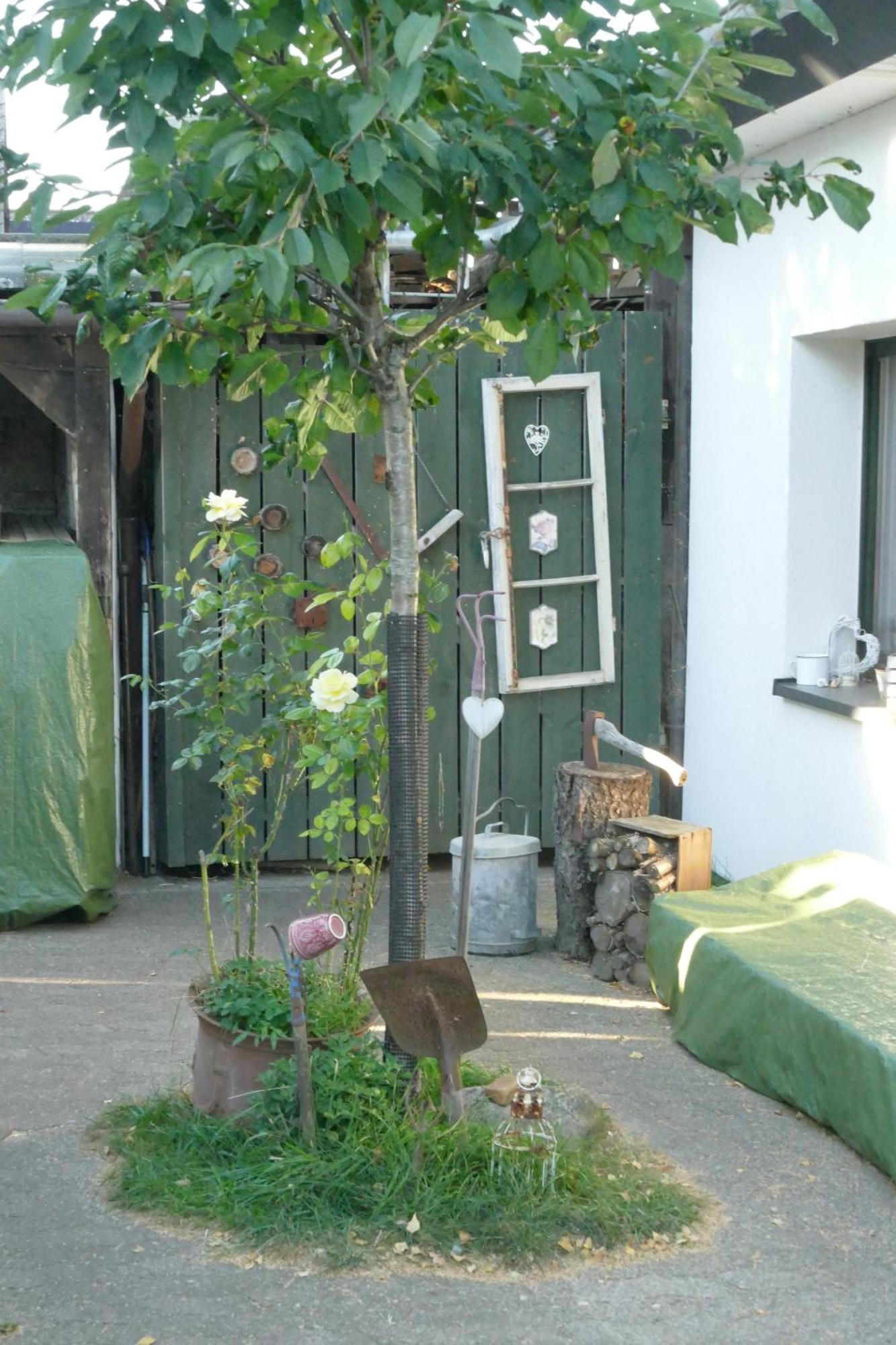 Ferienhaus Mit Minibauernhof Munster Zewnętrze zdjęcie